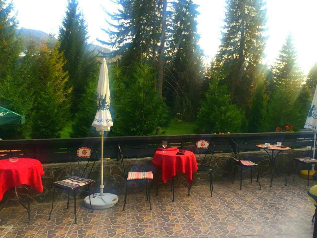 Hotel Miraj - Restaurant & Sauna & Biliard Пояна-Брашов Экстерьер фото